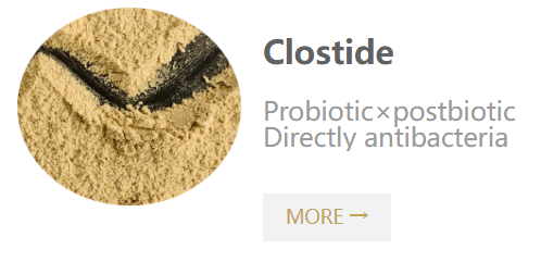 Clostide (Peptides fermented from Bacillus licheniformis).png